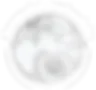 journal logo white.png