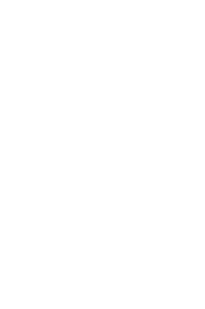 Lyra_thin.png